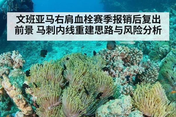 文班亚马右肩血栓赛季报销后复出前景 马刺内线重建思路与风险分析